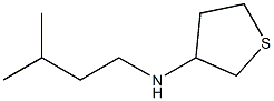 N-(3-methylbutyl)thiolan-3-amine Struktur