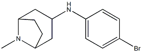 N-(4-bromophenyl)-8-methyl-8-azabicyclo[3.2.1]octan-3-amine Struktur