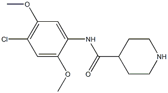 N-(4-chloro-2,5-dimethoxyphenyl)piperidine-4-carboxamide Struktur