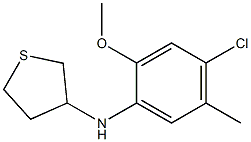 N-(4-chloro-2-methoxy-5-methylphenyl)thiolan-3-amine Struktur