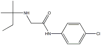 N-(4-chlorophenyl)-2-[(2-methylbutan-2-yl)amino]acetamide Struktur