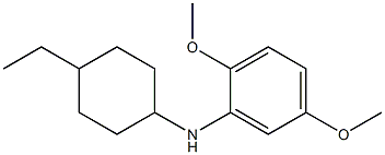 N-(4-ethylcyclohexyl)-2,5-dimethoxyaniline Struktur