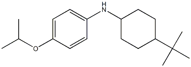 N-(4-tert-butylcyclohexyl)-4-(propan-2-yloxy)aniline Struktur