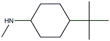 N-(4-tert-butylcyclohexyl)-N-methylamine Struktur