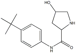 N-(4-tert-butylphenyl)-4-hydroxypyrrolidine-2-carboxamide Struktur