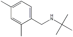 N-(tert-butyl)-N-(2,4-dimethylbenzyl)amine Struktur