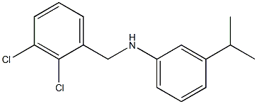 N-[(2,3-dichlorophenyl)methyl]-3-(propan-2-yl)aniline Struktur