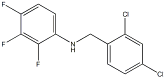 N-[(2,4-dichlorophenyl)methyl]-2,3,4-trifluoroaniline Struktur