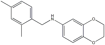 N-[(2,4-dimethylphenyl)methyl]-2,3-dihydro-1,4-benzodioxin-6-amine Struktur