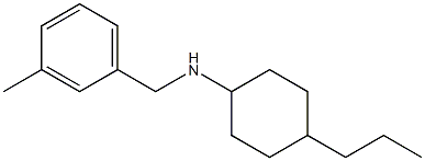 N-[(3-methylphenyl)methyl]-4-propylcyclohexan-1-amine Struktur