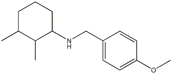 N-[(4-methoxyphenyl)methyl]-2,3-dimethylcyclohexan-1-amine Struktur