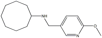 N-[(6-methoxypyridin-3-yl)methyl]cyclooctanamine Struktur