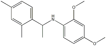 N-[1-(2,4-dimethylphenyl)ethyl]-2,4-dimethoxyaniline Struktur