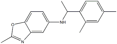 N-[1-(2,4-dimethylphenyl)ethyl]-2-methyl-1,3-benzoxazol-5-amine Struktur