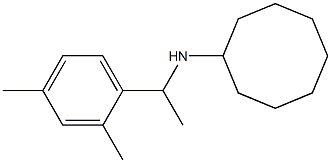 N-[1-(2,4-dimethylphenyl)ethyl]cyclooctanamine Struktur