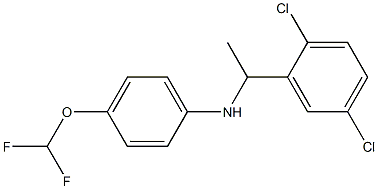 N-[1-(2,5-dichlorophenyl)ethyl]-4-(difluoromethoxy)aniline Struktur