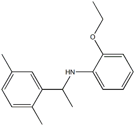 N-[1-(2,5-dimethylphenyl)ethyl]-2-ethoxyaniline Struktur