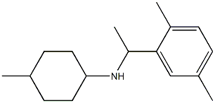 N-[1-(2,5-dimethylphenyl)ethyl]-4-methylcyclohexan-1-amine Struktur