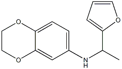 N-[1-(furan-2-yl)ethyl]-2,3-dihydro-1,4-benzodioxin-6-amine Struktur