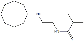 N-[2-(cyclooctylamino)ethyl]-2-methylpropanamide Struktur