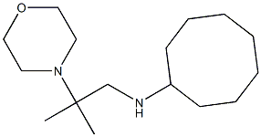 N-[2-methyl-2-(morpholin-4-yl)propyl]cyclooctanamine Struktur