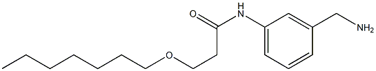 N-[3-(aminomethyl)phenyl]-3-(heptyloxy)propanamide Struktur