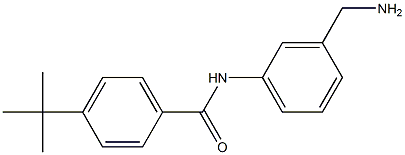 N-[3-(aminomethyl)phenyl]-4-tert-butylbenzamide Struktur