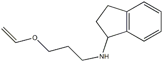 N-[3-(ethenyloxy)propyl]-2,3-dihydro-1H-inden-1-amine Struktur