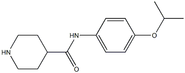 N-[4-(propan-2-yloxy)phenyl]piperidine-4-carboxamide Struktur