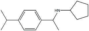 N-{1-[4-(propan-2-yl)phenyl]ethyl}cyclopentanamine Struktur