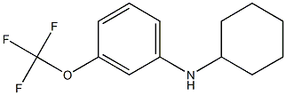 N-cyclohexyl-3-(trifluoromethoxy)aniline Struktur