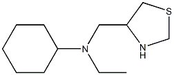 N-ethyl-N-(1,3-thiazolidin-4-ylmethyl)cyclohexanamine Struktur