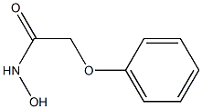 N-hydroxy-2-phenoxyacetamide Struktur