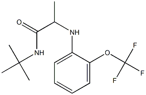 N-tert-butyl-2-{[2-(trifluoromethoxy)phenyl]amino}propanamide Struktur