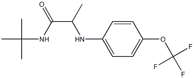 N-tert-butyl-2-{[4-(trifluoromethoxy)phenyl]amino}propanamide Struktur