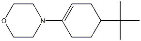 4-(4-tert-Butyl-1-cyclohexenyl)morpholine Struktur