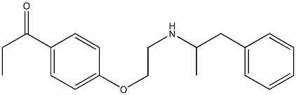 1-[4-[2-[(1-Methyl-2-phenylethyl)amino]ethoxy]phenyl]-1-propanone Struktur