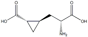 (1S,2R)-2-[(R)-2-Amino-2-carboxyethyl]cyclopropane-1-carboxylic acid Struktur