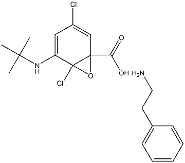 2-Amino-N-tert-butyl-1-phenylethanamineN-oxide Struktur