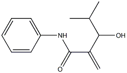 N-Phenyl-3-hydroxy-2-methylene-4-methylpentanamide Struktur