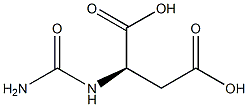 (R)-2-Ureidosuccinic acid Struktur