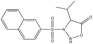 2,3-Dihydro-4-isopropyl-3-[(2-naphtyl)sulfonyl]-1,3,2-oxazaborol-5(4H)-one Struktur