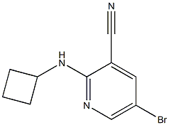 5-bromo-2-(cyclobutylamino)pyridine-3-carbonitrile Struktur