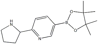 5-(4,4,5,5-tetraMethyl-1,3,2-dioxaborolan-2-yl)-2-(pyrrolidin-2-yl)pyridine Struktur