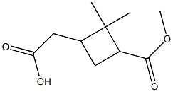 2-(3-(methoxycarbonyl)-2,2-dimethylcyclobutyl)acetic acid Struktur