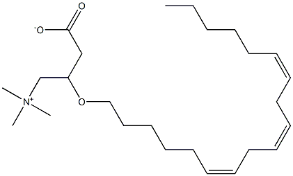 gamma-linolenyl carnitine Struktur