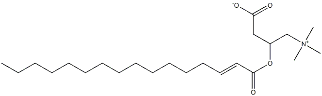 trans-Hexadec-2-enoyl carnitine Struktur