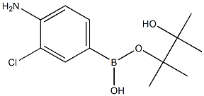 4-Amino-3-chlorobenzeneboronic acid, pinacol ester Struktur