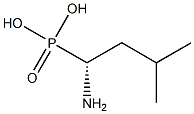 leucine phosphonic acid Struktur