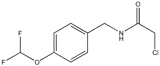 2-CHLORO-N-[4-(DIFLUOROMETHOXY)BENZYL]ACETAMIDE Struktur